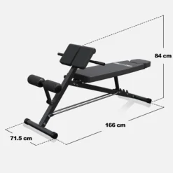Gorilla Sports Hantelbank mit Hyperextension verstellbar Schwarz Best