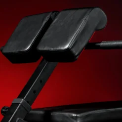 Gorilla Sports Hantelbank mit Hyperextension verstellbar Schwarz Best