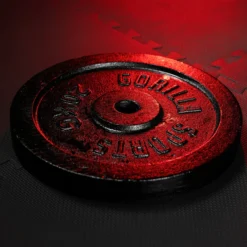 Gorilla Sports Hantelscheibe Gusseisen 0,5 - 30 kg Schwarz Hot
