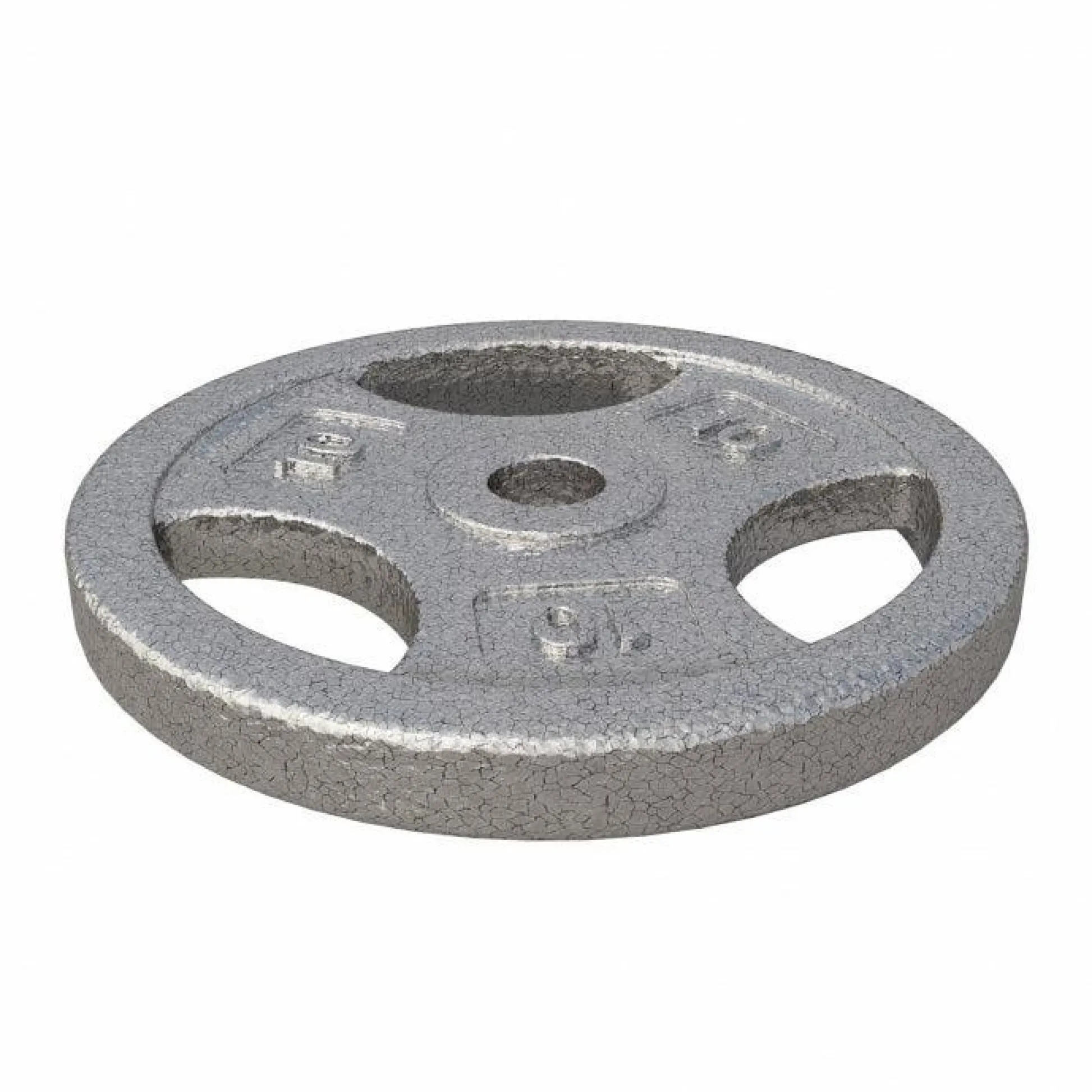 Gorilla Sports Hantelscheibe Guss Gripper - 2,5-45 lb (1,1-20,4 kg), 1" (25,4 mm), Gusseisen, Silber Discount
