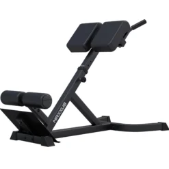 MAXXUS Hyperextension Rückentrainer Schwarz Sale