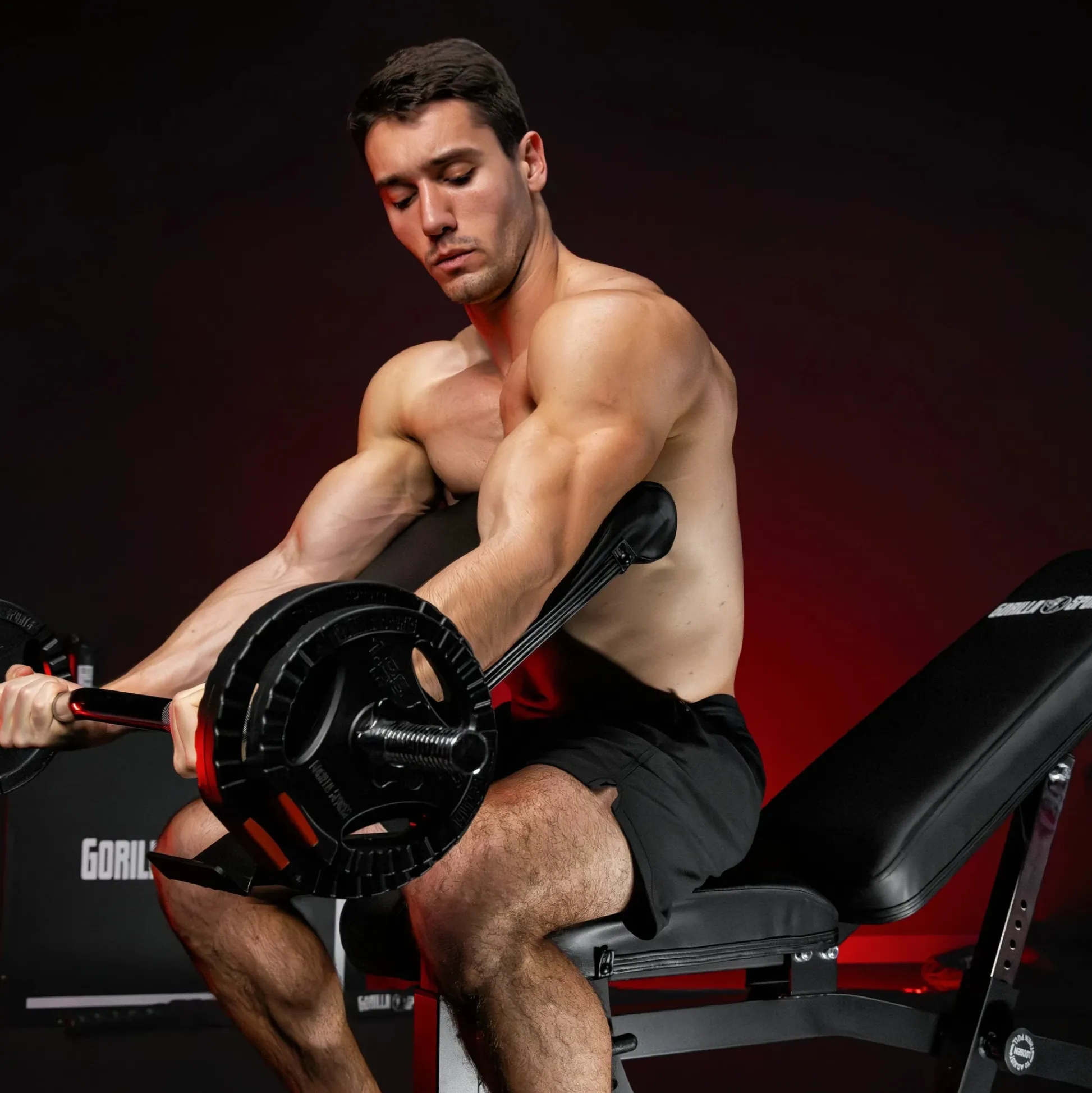 Gorilla Sports Schrägbank verstellbar inkl, Beinstrecker und Curlpult Schwarz Online